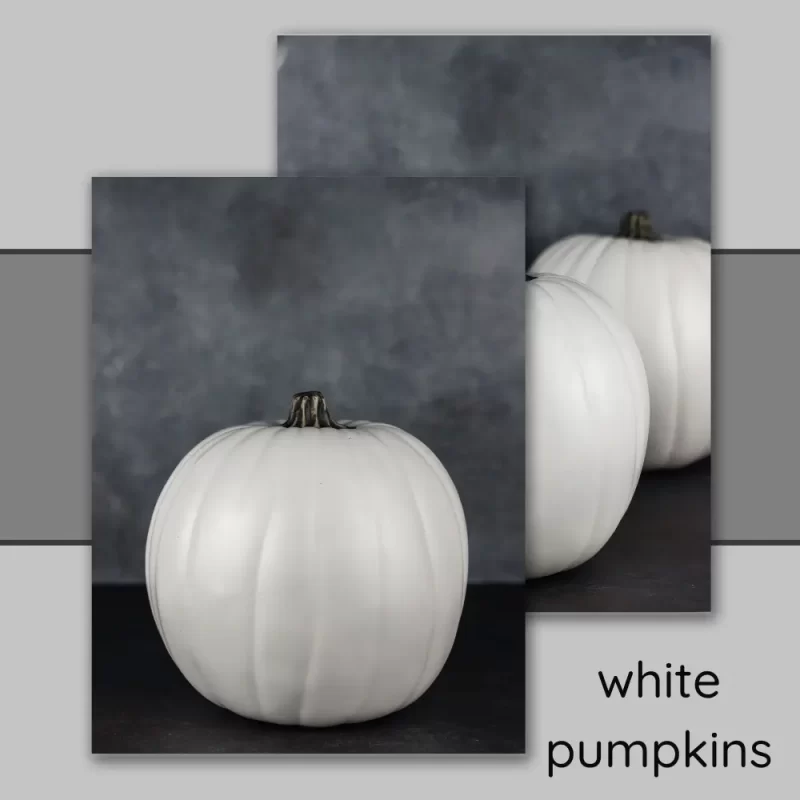 White Pumpkins, where to purchase